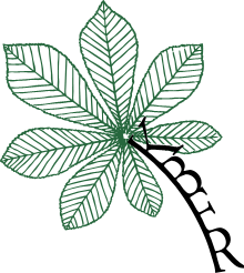 Katedra botaniky a fyziologie rostlin - logo
